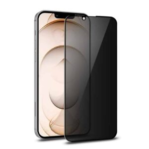 Flightlife-iPhone 13-Privacy-Panzerglas